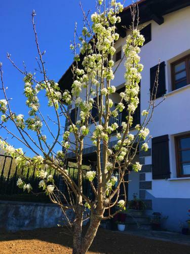 Agroturismo Ekialde Rural