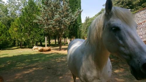 Apartamento Casanova Del Monjo