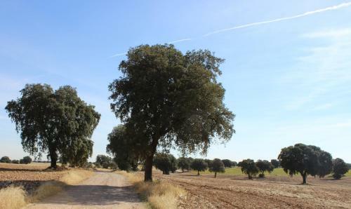 Agroturismo Los Mentideros