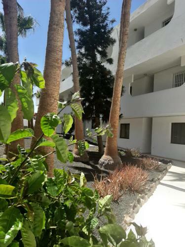 Apartamento Casita Tropical