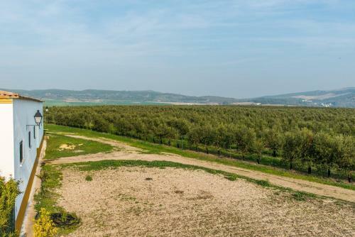 Vivienda Rural Olivar De San Telmo