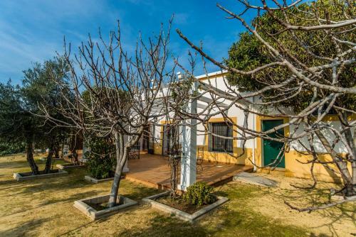 Vivienda Rural Olivar De San Telmo