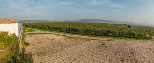 Vivienda Rural Olivar De San Telmo