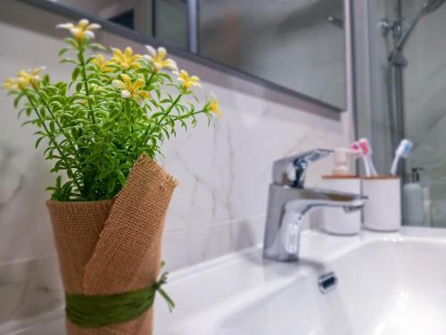 Apartamento Hibisco , Primera L�nea De Playa