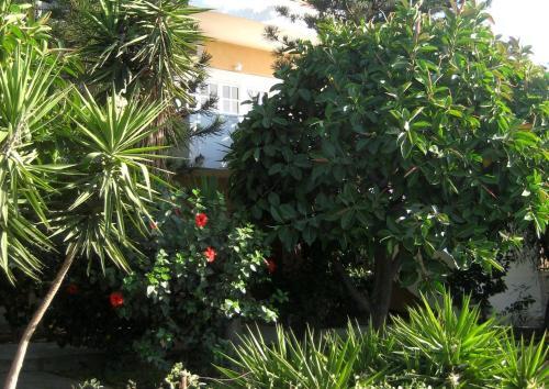 Corina Apartments