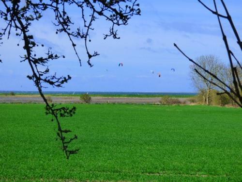 Apartamento Villa Schwalbennest