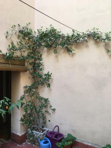 Apartamento Plaza Del Rastro