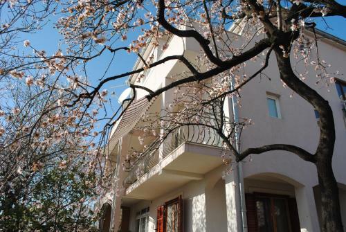 Apartments Natura Jurjevi? Makarska