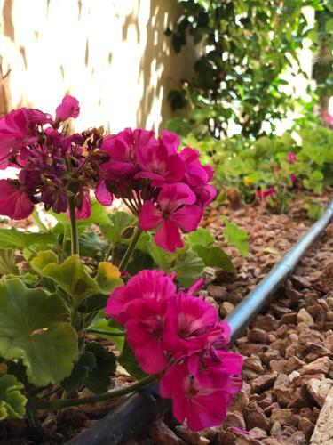 Apartamento Moraira -jardines Montemar