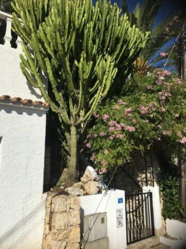 Charming Villa In Montemar With Private, Heated Pool And Sea Views
