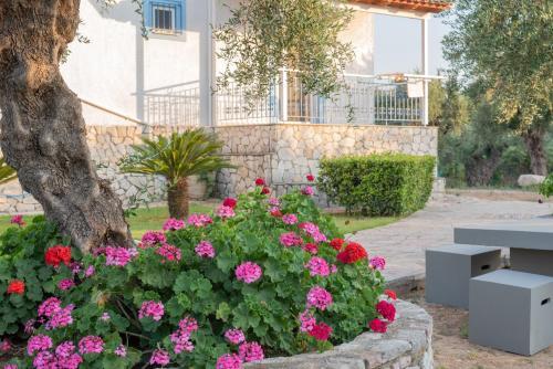 Tassos Apartments