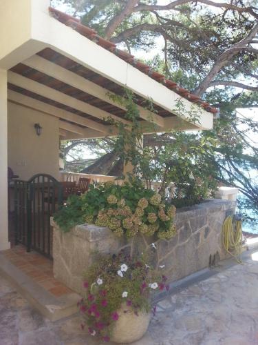 Apartamentos Guesthouse Seaview