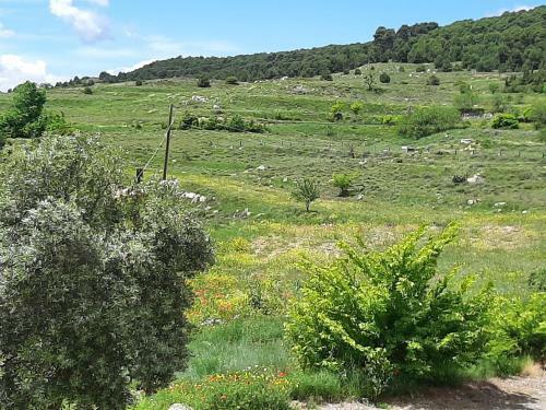 Agroturismo Casa Rural "garnacha De Borja"