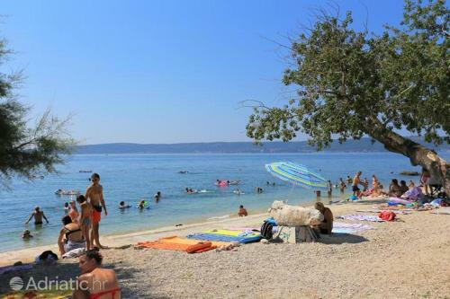Villa Apartments Olivetum