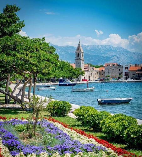 Villa Apartments Olivetum