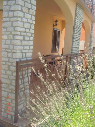 Apartments Renata