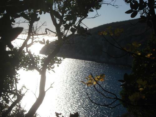 Hostal Guesthouse Villa Galovic