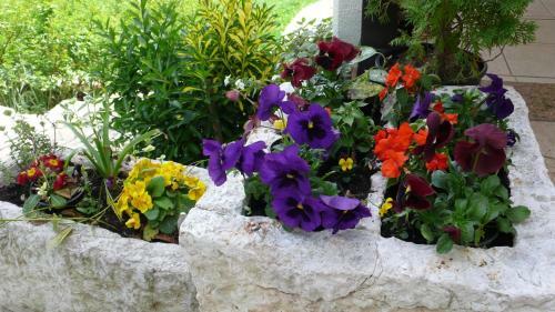 Hostal Guesthouse Villa Galovic