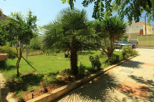 Apartments Nicol