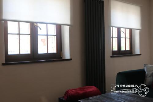 Dyby Toru?skie Apartament 8