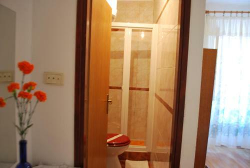 Hostal Guesthouse Romana