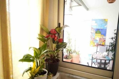 Apartamento Casa Dalia