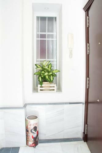 Apartamento Cadiz Centro Hist�rico