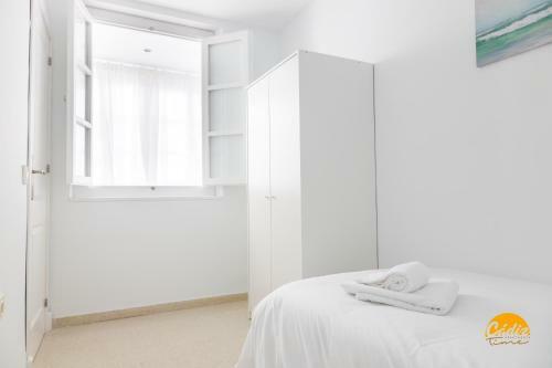 Apartamento Green Home - Wifi - Petfriendly - Ecofriendly