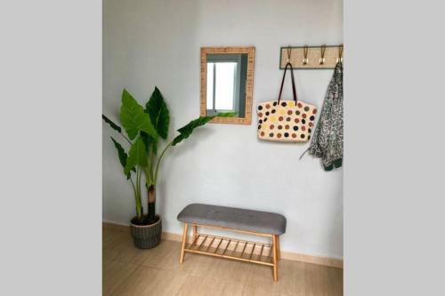 Apartamento Gatu Manteca Village