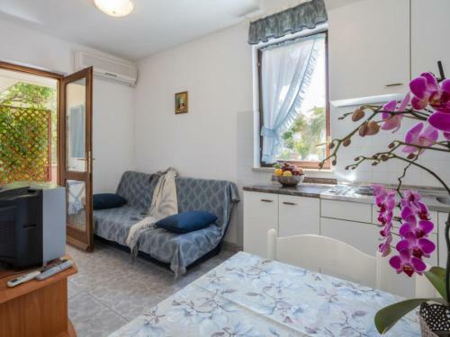 Apartments Folo