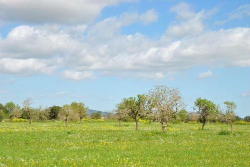 Finca Maravillosa Vista