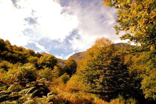 Apartamento Complejo Tur�stico Les Cotolles