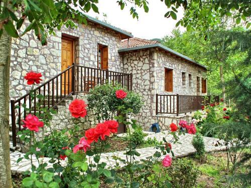 Apartamento Andrea Sofi Guesthouse