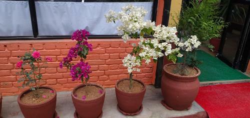 Hotel Nagarkot Food Home