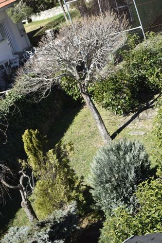 La Casita De La Sierra Cercedilla