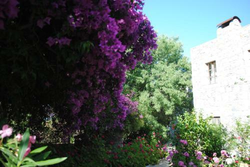 Hotel Eski Datca Evleri