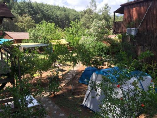 Hostal Olympos Inci Pansiyon