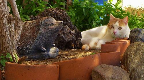 Bed & Breakfast Coraz�n Andaluz Guesthouse