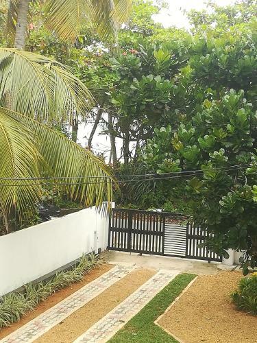 The Nest Home Stay