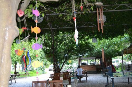 Lodge Olympos Doga Pansiyon