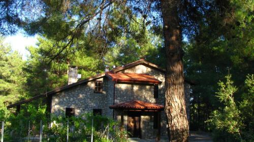 Hotel Dikencik Cottages