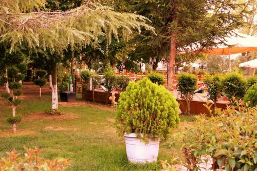 Hotel Club Grand Becassier