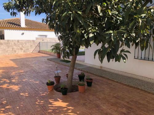 Casas Juani- Chalet Con Piscina