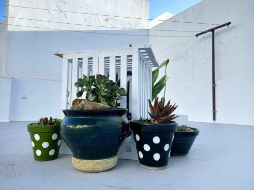 Casa El Cuartel With Private Roof Terrace