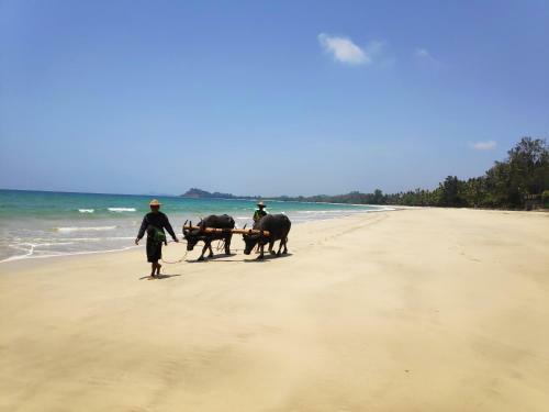 Apartamento Private House Ngapali Beach Front 4 Rent