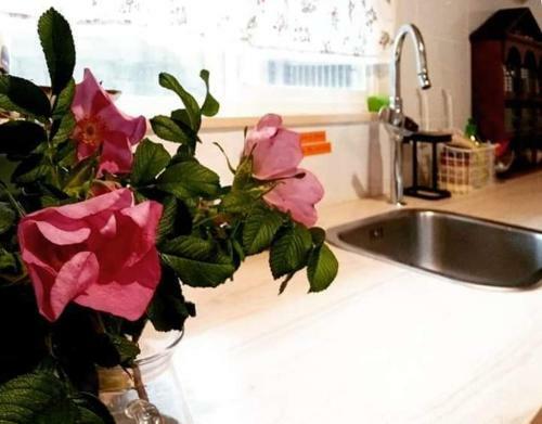 Hostal Jeonju Hanok Village Jamanjae