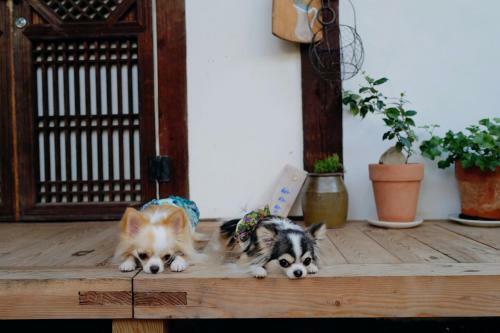 Hostal Jeonju Hanok Village Jamanjae
