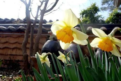 Hostal Jeonju Hanok Village Jamanjae