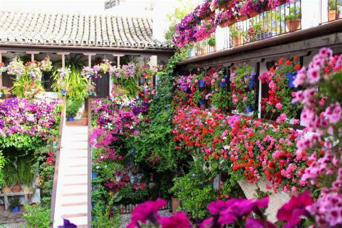 Apartamento El Rinc�n De Orive