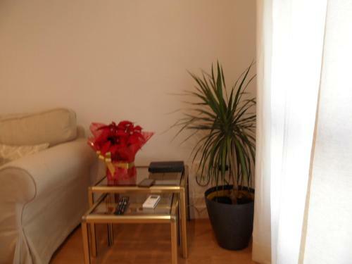 Apartamento La Peluquer�a